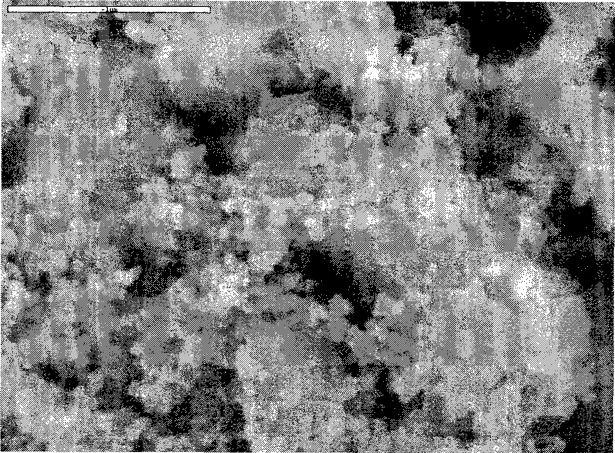 Composite double microporous material and preparation thereof