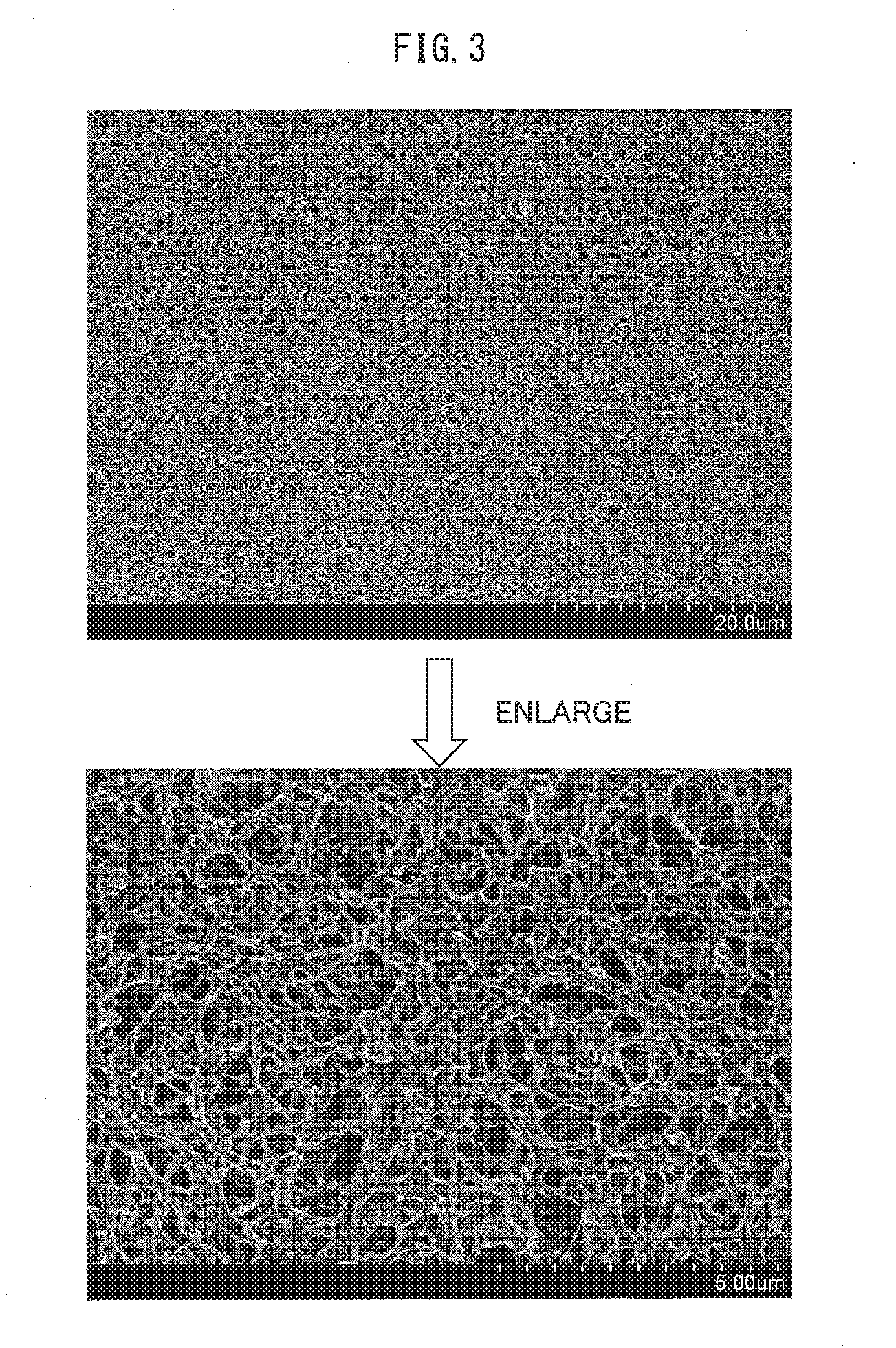 Laminated body, separator, and nonaqueous secondary battery