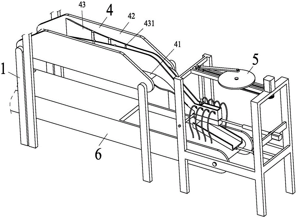 Tomentum clearing machine for medicinal eriobotrya japonica thunb