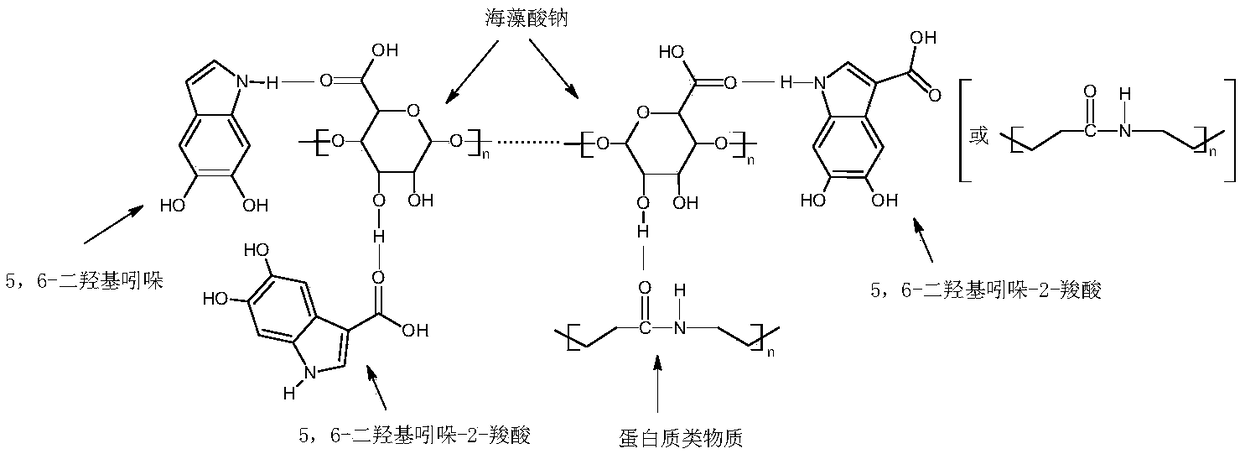 A kind of preparation method of squid ink-alginate composite fiber