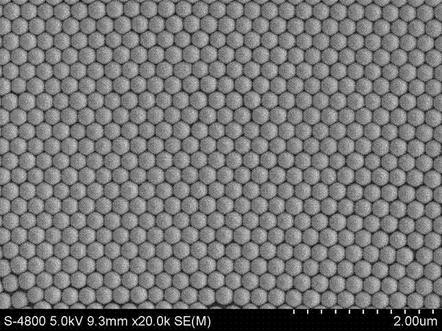 Hydrophobic structural color coating and preparation method thereof