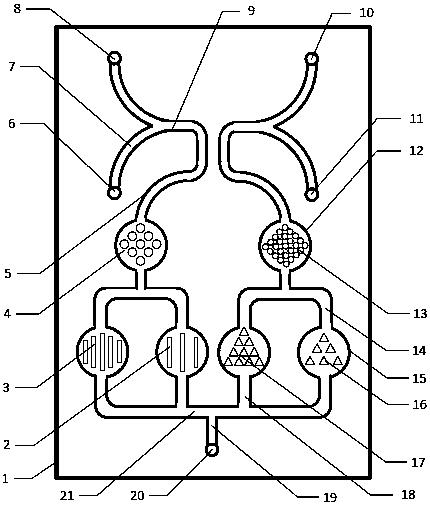 A high-throughput pattern-induced cell screening chip