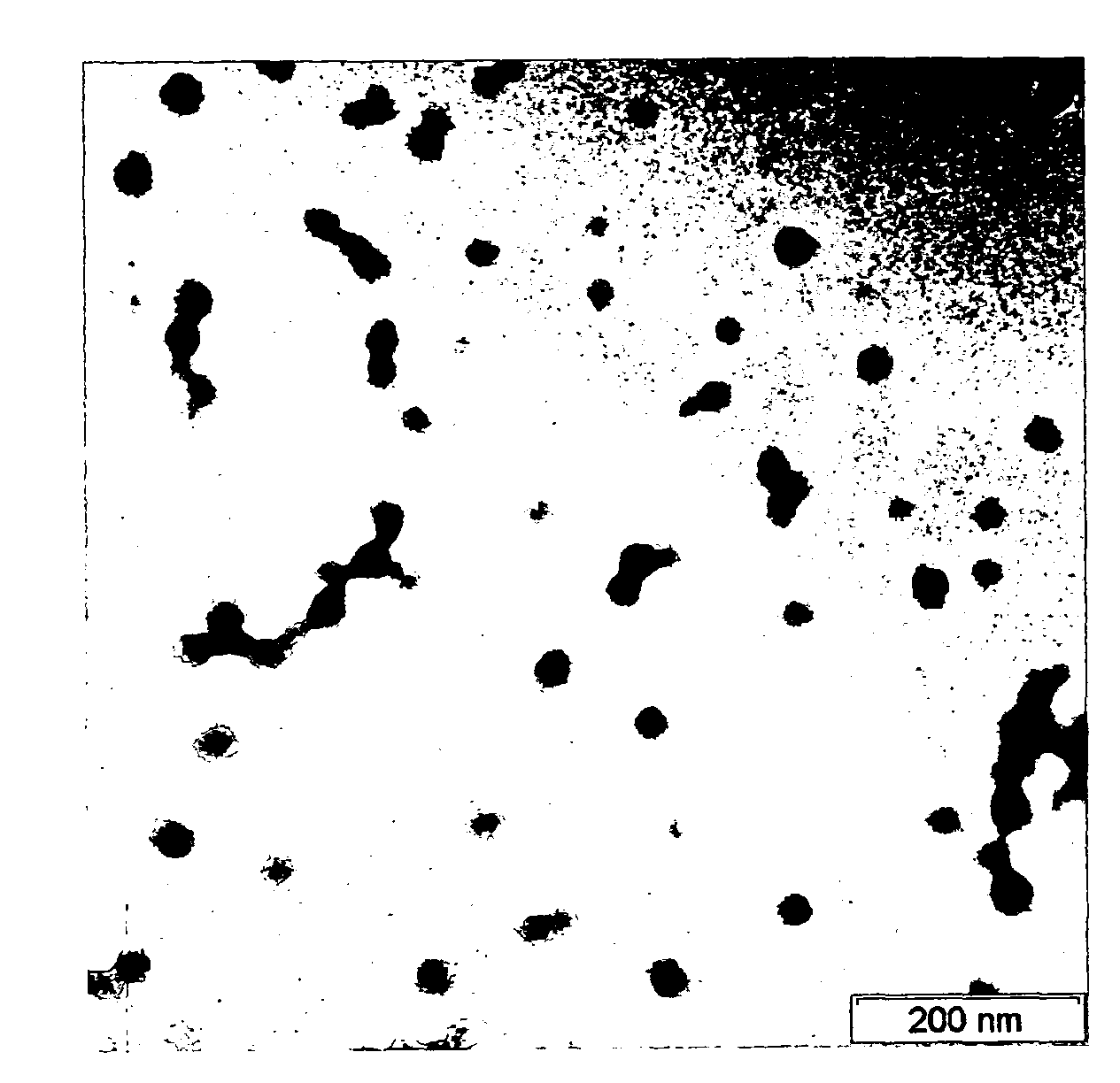 Elastomeric composition reinforced with a funtionalized non-aromatic vinyl polymer filler