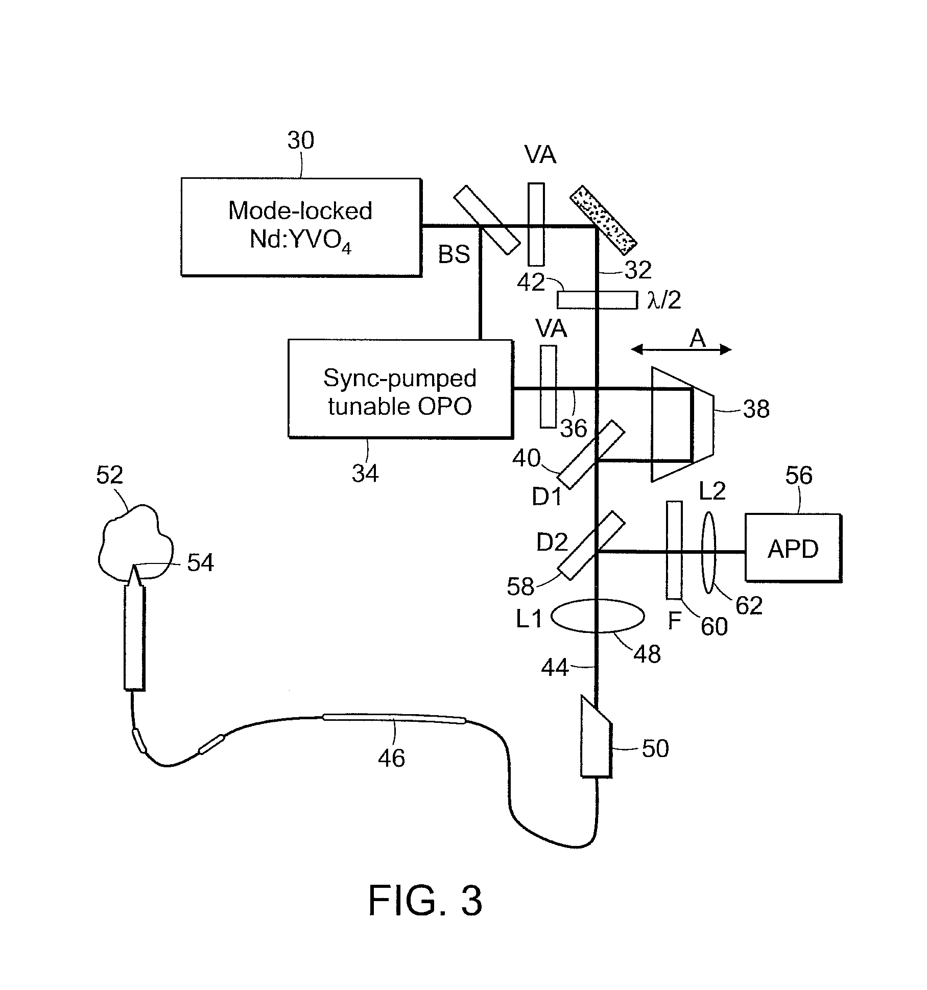 System and method for coherent anti-Stokes Raman scattering endoscopy