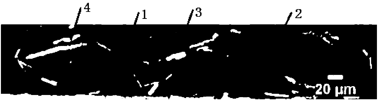 Powder coating with effect of color changing along with angle and preparation method thereof