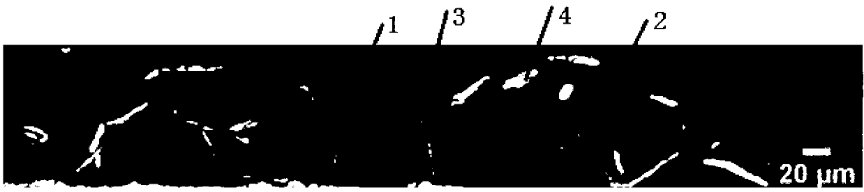 Powder coating with effect of color changing along with angle and preparation method thereof