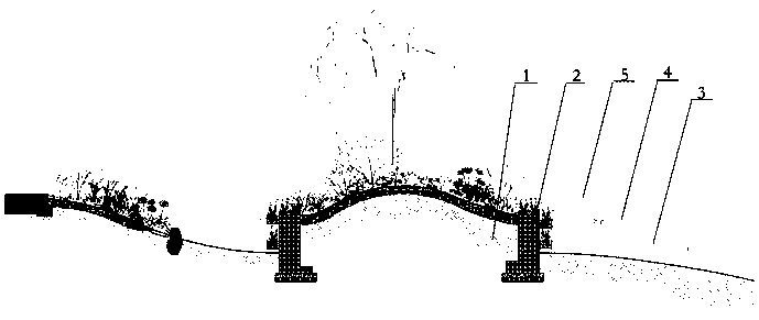 Constructed wetland island water quality purification system and construction method thereof