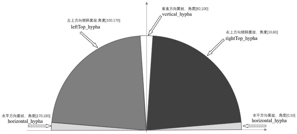 Pseudohypha detection method and device by increasing direction dimension and storage medium