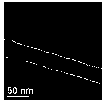 Preparation method and application of antibacterial repair type electrostatic spinning collagen-bacterial cellulose composite nanofiber scaffold