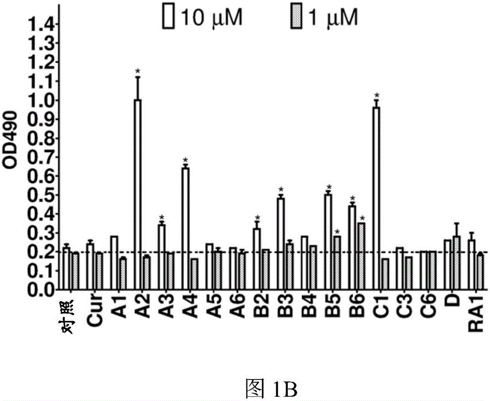 MTOR-independent activator of TFEB for autophagy enhancement and uses thereof