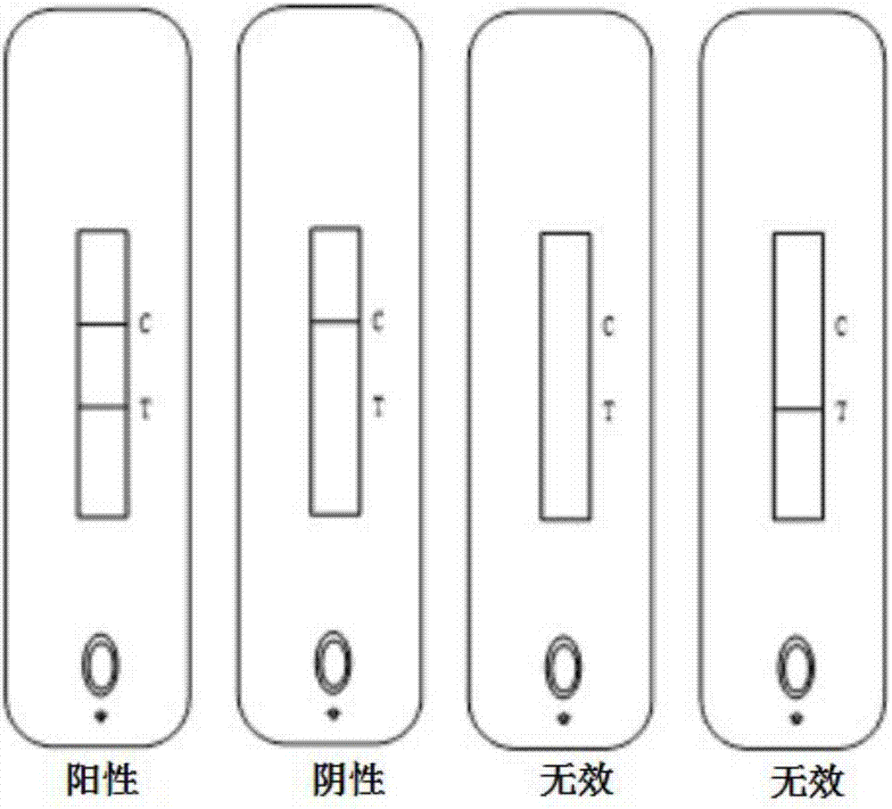 Test strip and kit for detecting HIV antibody