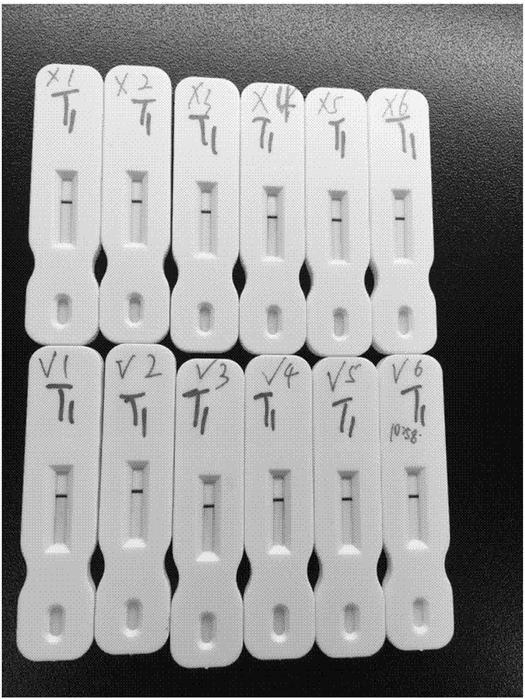 Test strip and kit for detecting HIV antibody