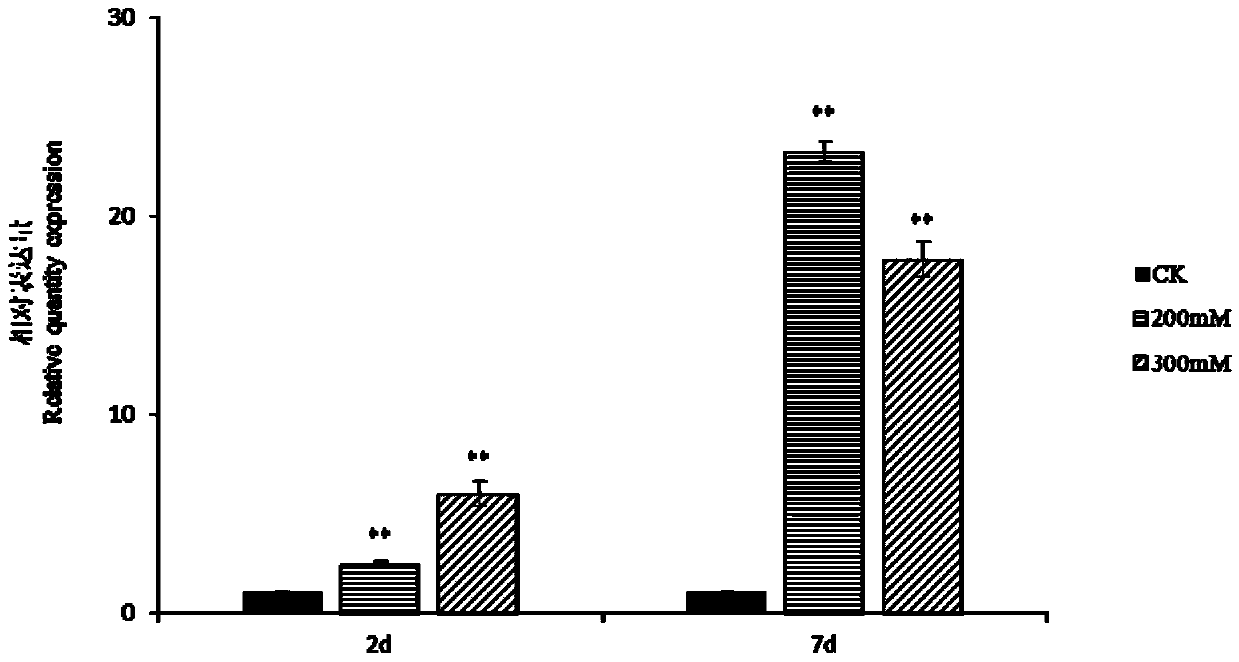 Application of small heat shock protein of sorbus pohuashanensis and method for improving abiotic stress tolerance of plants