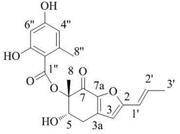 Marine fungus-derived polyketone compound and application thereof in treatment of type 2 diabetes