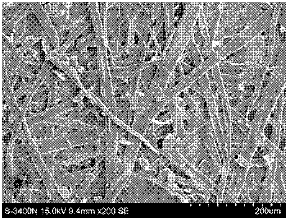 Preparation method of paper with magnetic characteristics