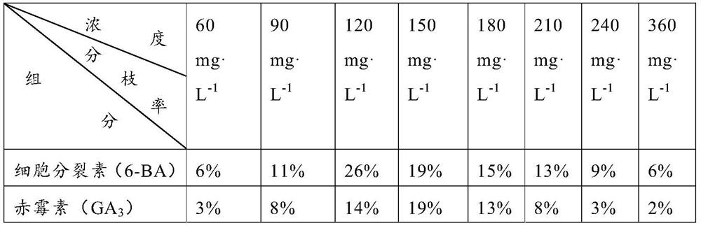 Sweet cherry hair branch and its preparation method and application