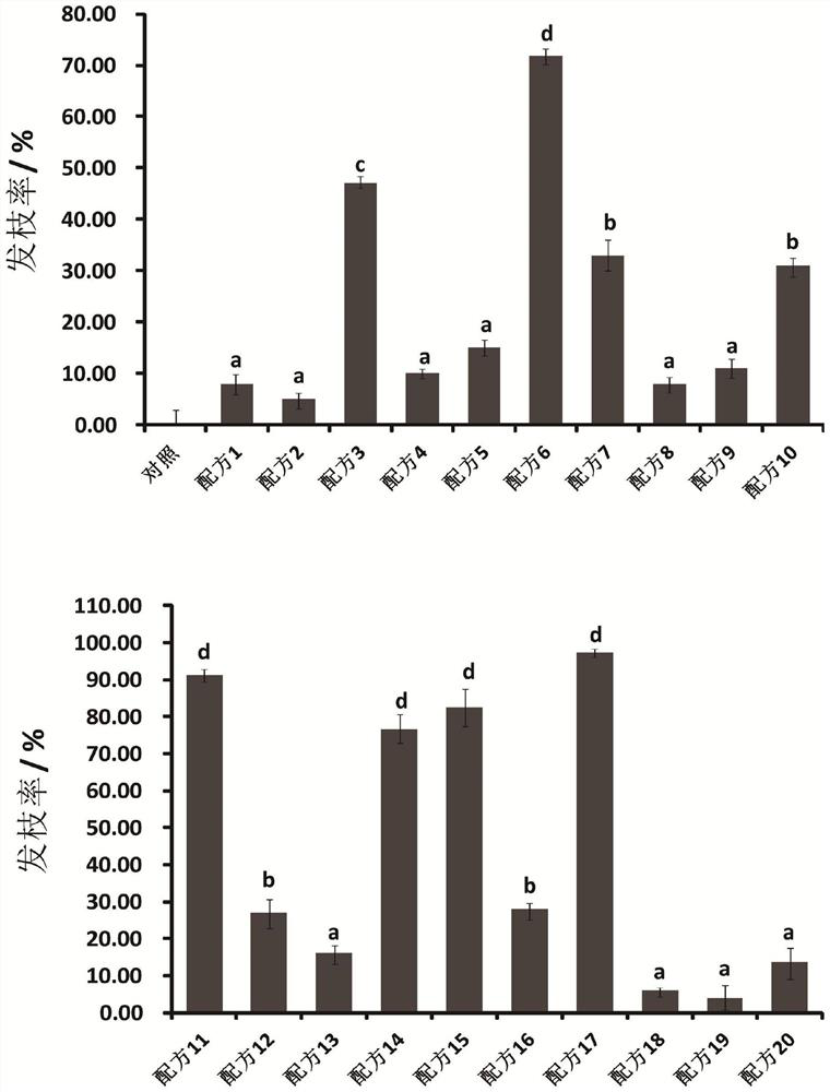 Sweet cherry hair branch and its preparation method and application