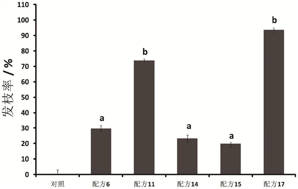 Sweet cherry hair branch and its preparation method and application