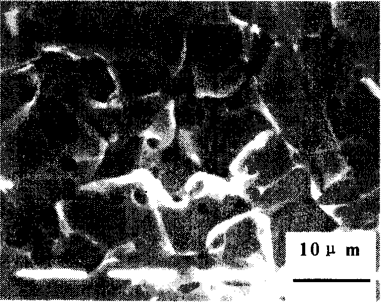 Preparation process for integrated enhancing hardness and breaking toughness of omposite material with MoSi2 base by addiing multi-element