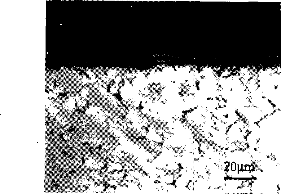 Processing fluid for preparing corrosion product film / layer cross section metallographic sample and processing method thereof