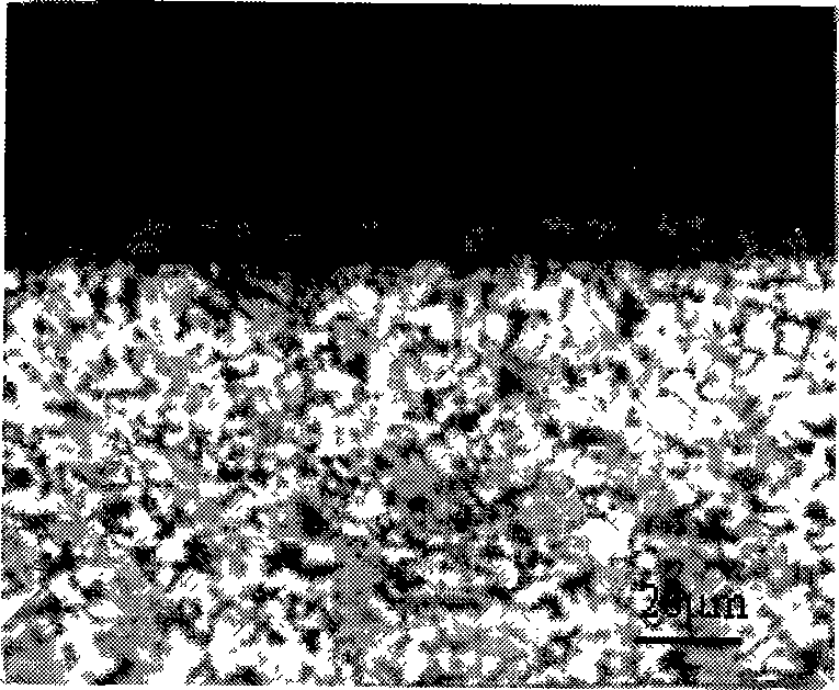 Processing fluid for preparing corrosion product film / layer cross section metallographic sample and processing method thereof