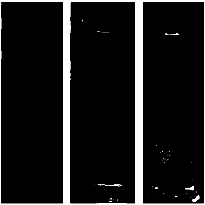 Waterborne naphthalimide fluorescent polymer emulsion and preparation method thereof