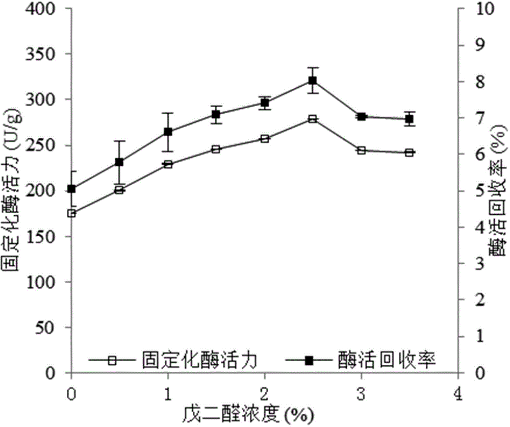 Immobilized kappa-carrageenan enzyme and method for preparing kappa-carrageenan oligosaccharide by adopting immobilized kappa-carrageenan enzyme