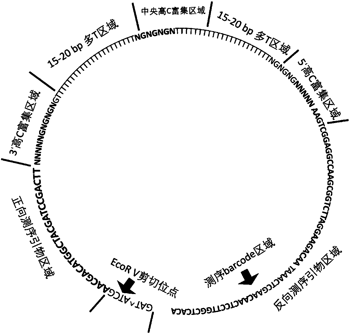 Reagent for DNA hypermethylation region enrichment, enrichment method and application thereof