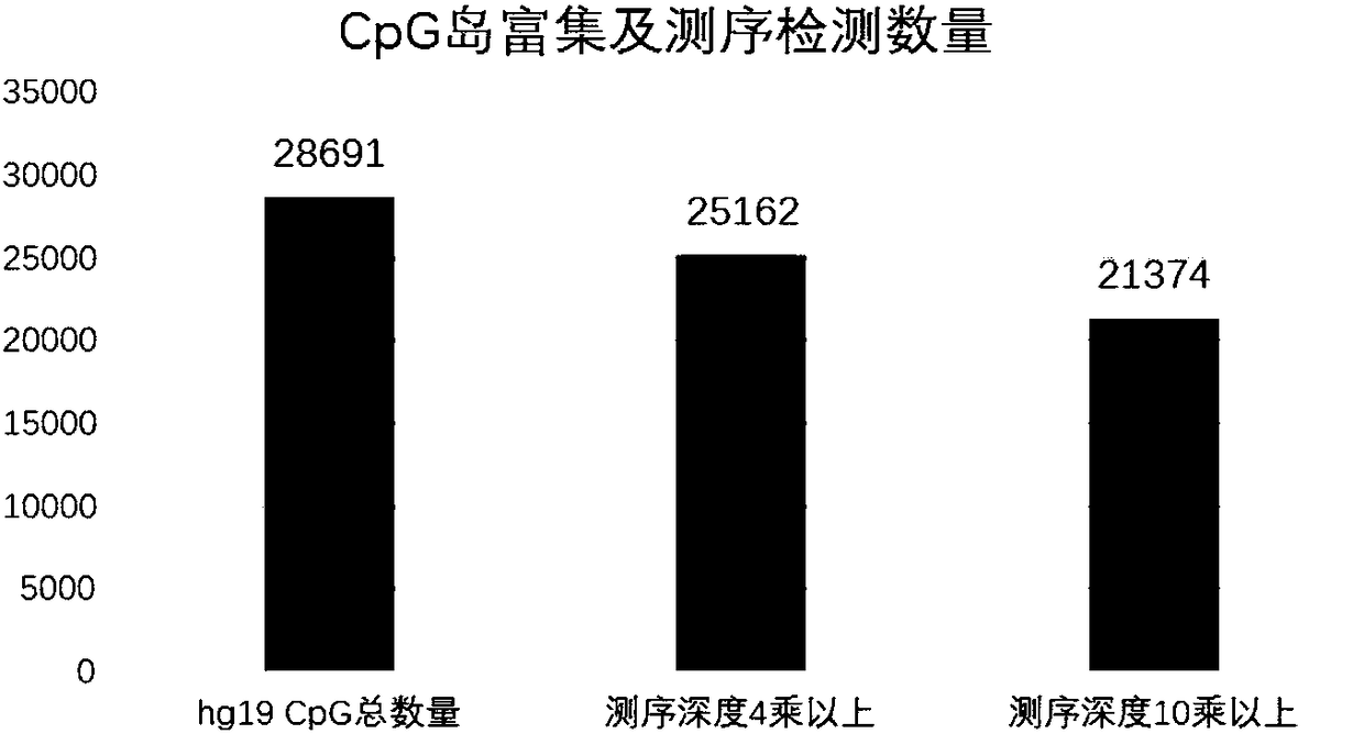 Reagent for DNA hypermethylation region enrichment, enrichment method and application thereof