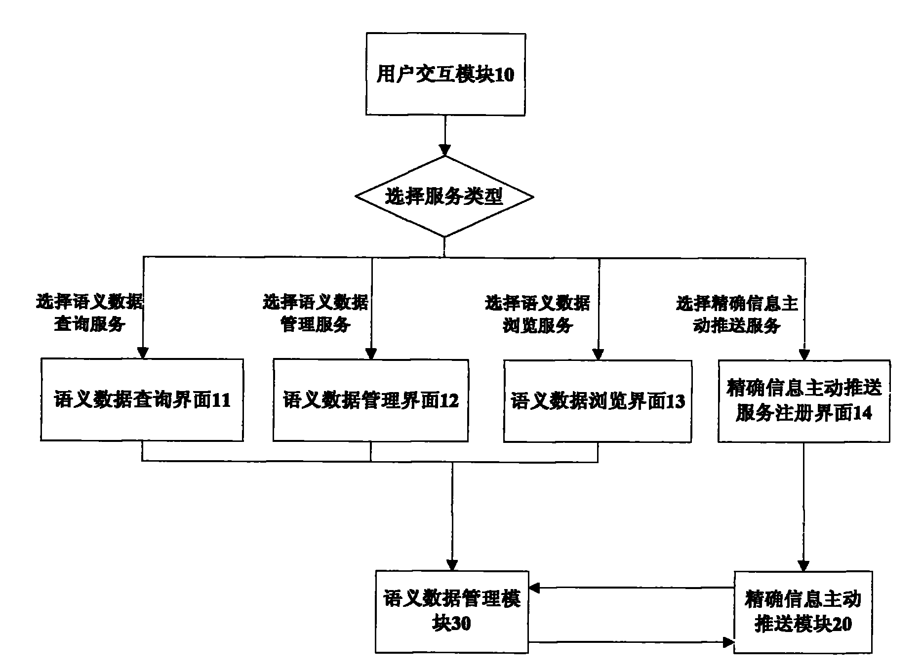 Precise information service system and method