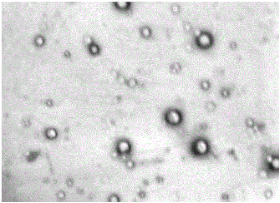 Paclitaxel nanoparticles and preparation method thereof