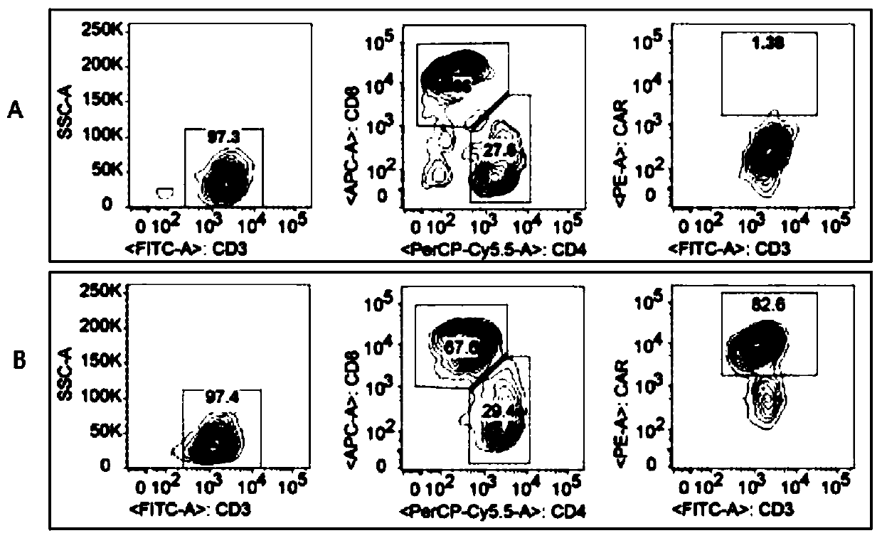 Preparation method and application of CAR-T cell targeting B7H3