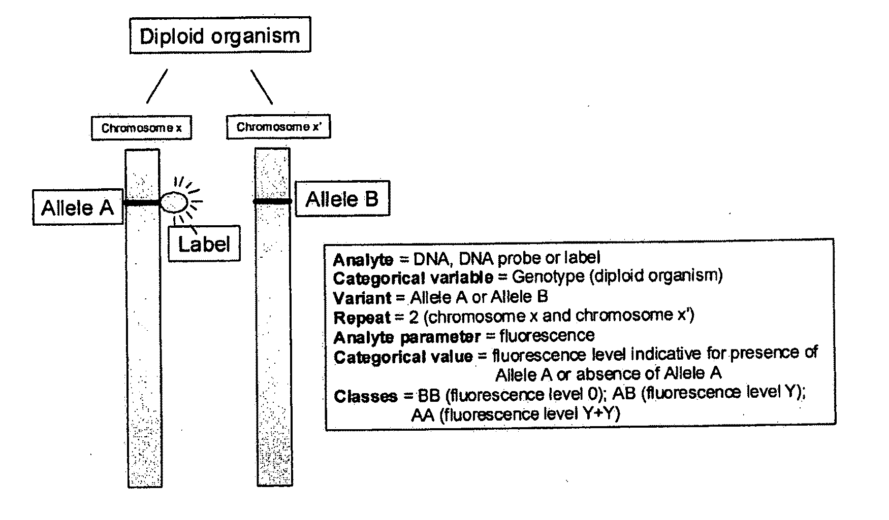 Method of performing a biological assay