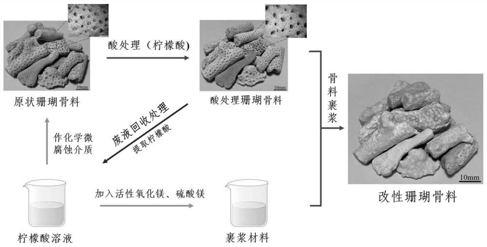 Preparation method of modified coral aggregate and basic magnesium sulfate cement gradient composite coral aggregate concrete