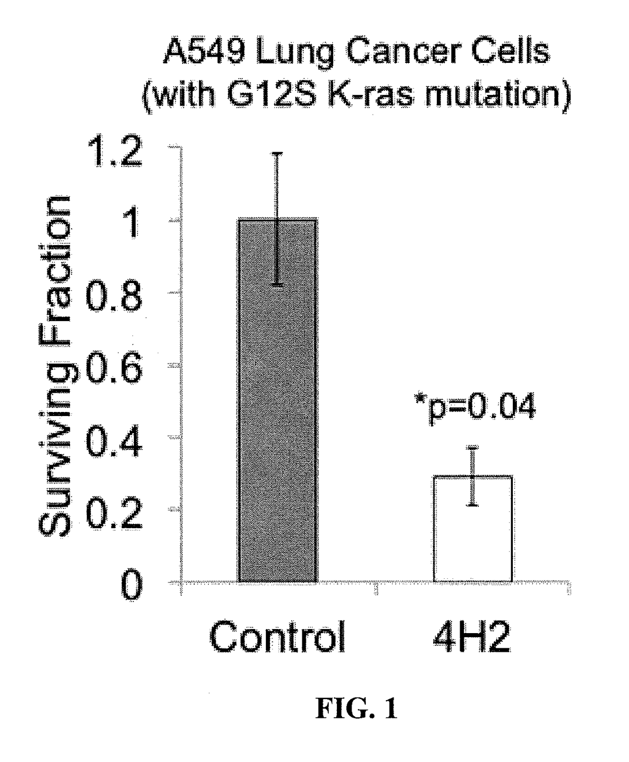 Cell penetrating Anti-guanosine antibody based therapy for cancers with ras mutations