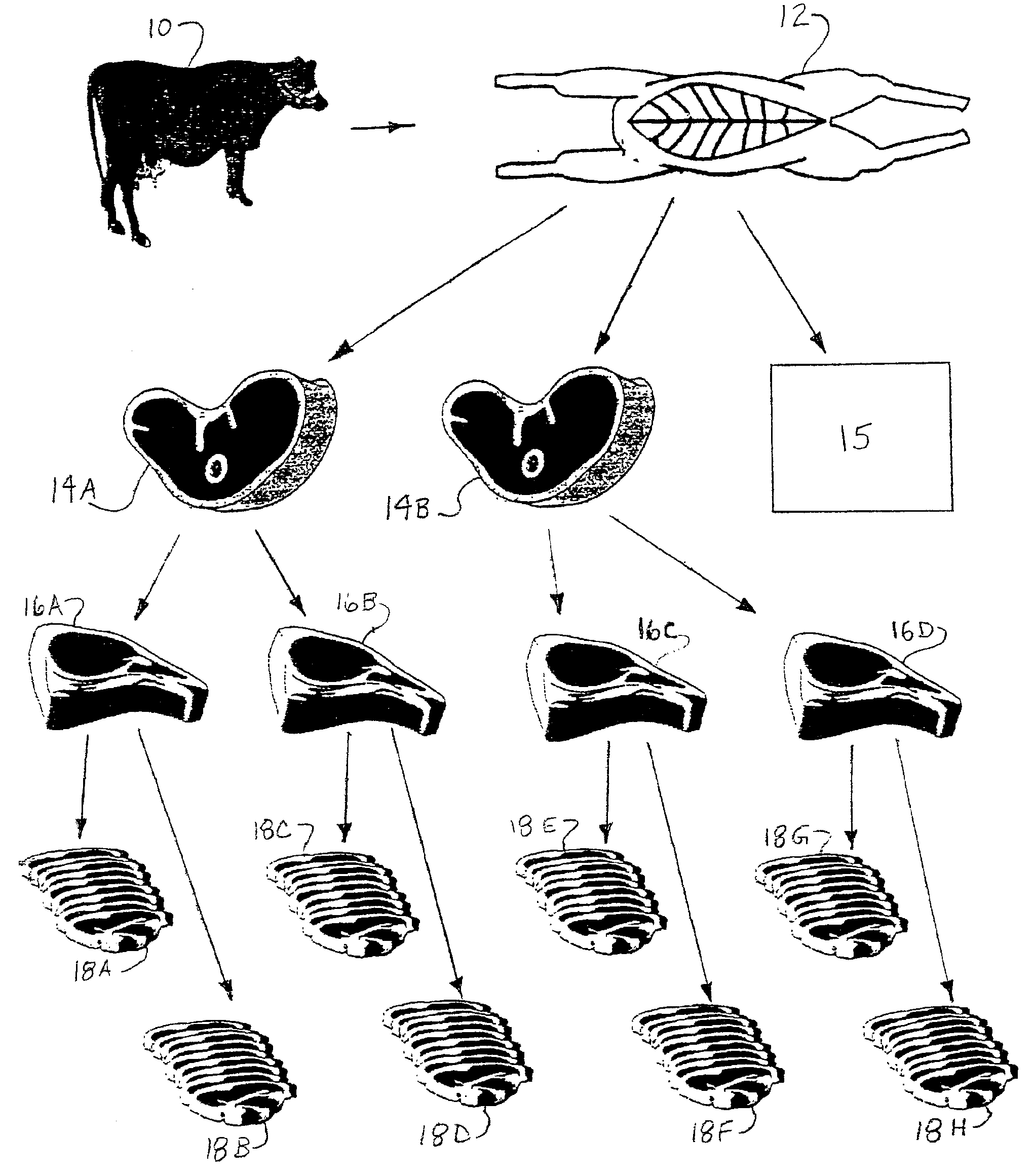 Method of linking a food source with a food product