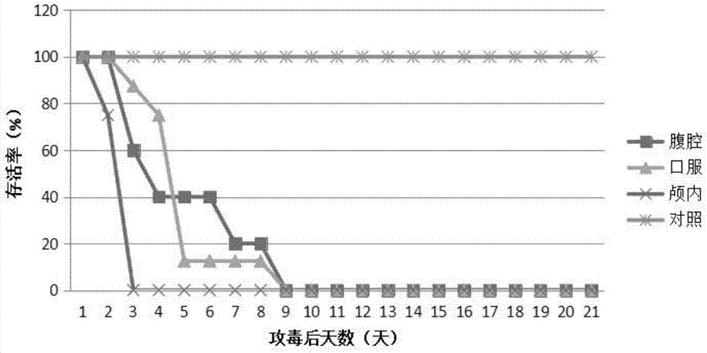 Coxsackievirus B5 CV-B5 and application thereof in preparing infectious animal models and kits