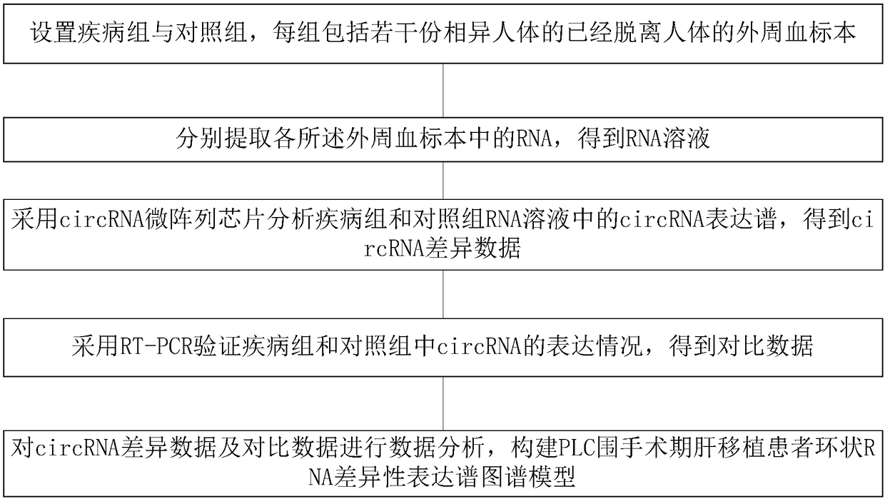 PLC (Primary Liver Cancer) perioperative period liver transplantation patient circRNA differential expression profile map model as well as building method and building system thereof