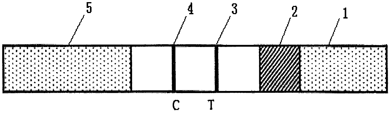 Fecal occult blood detection kit and preparation method