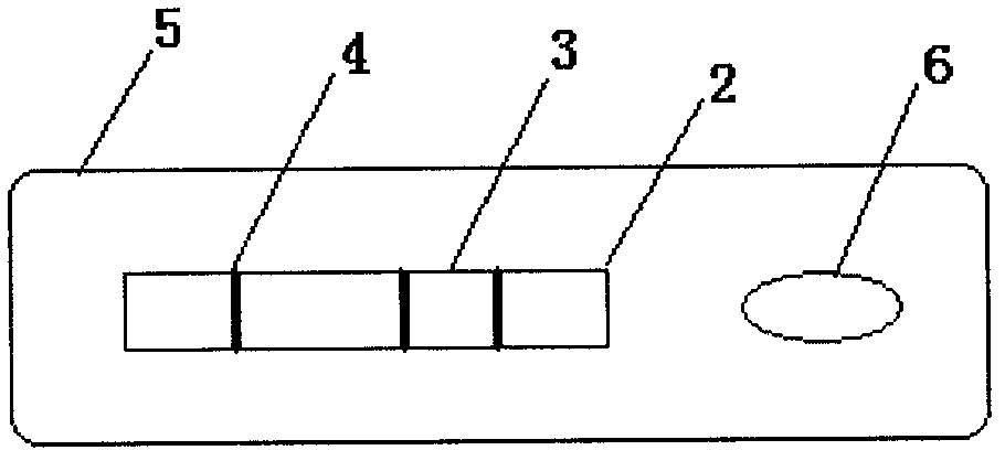 Fecal occult blood detection kit and preparation method