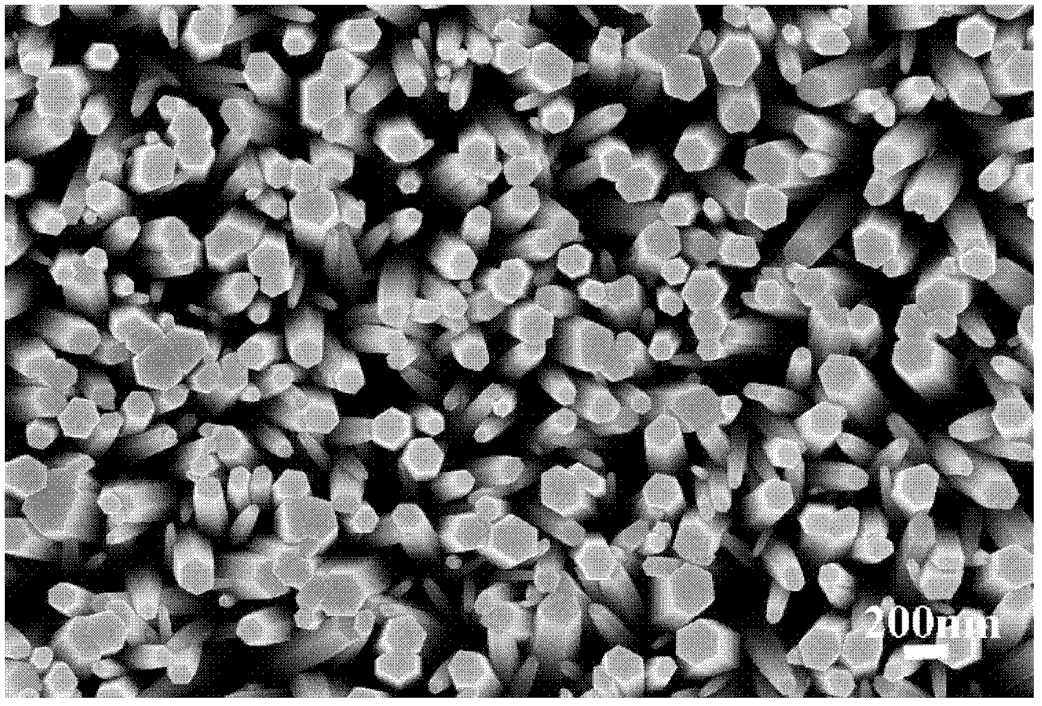 Method for preparing one-dimensional self-assembly material with ZnO nanorod array as template