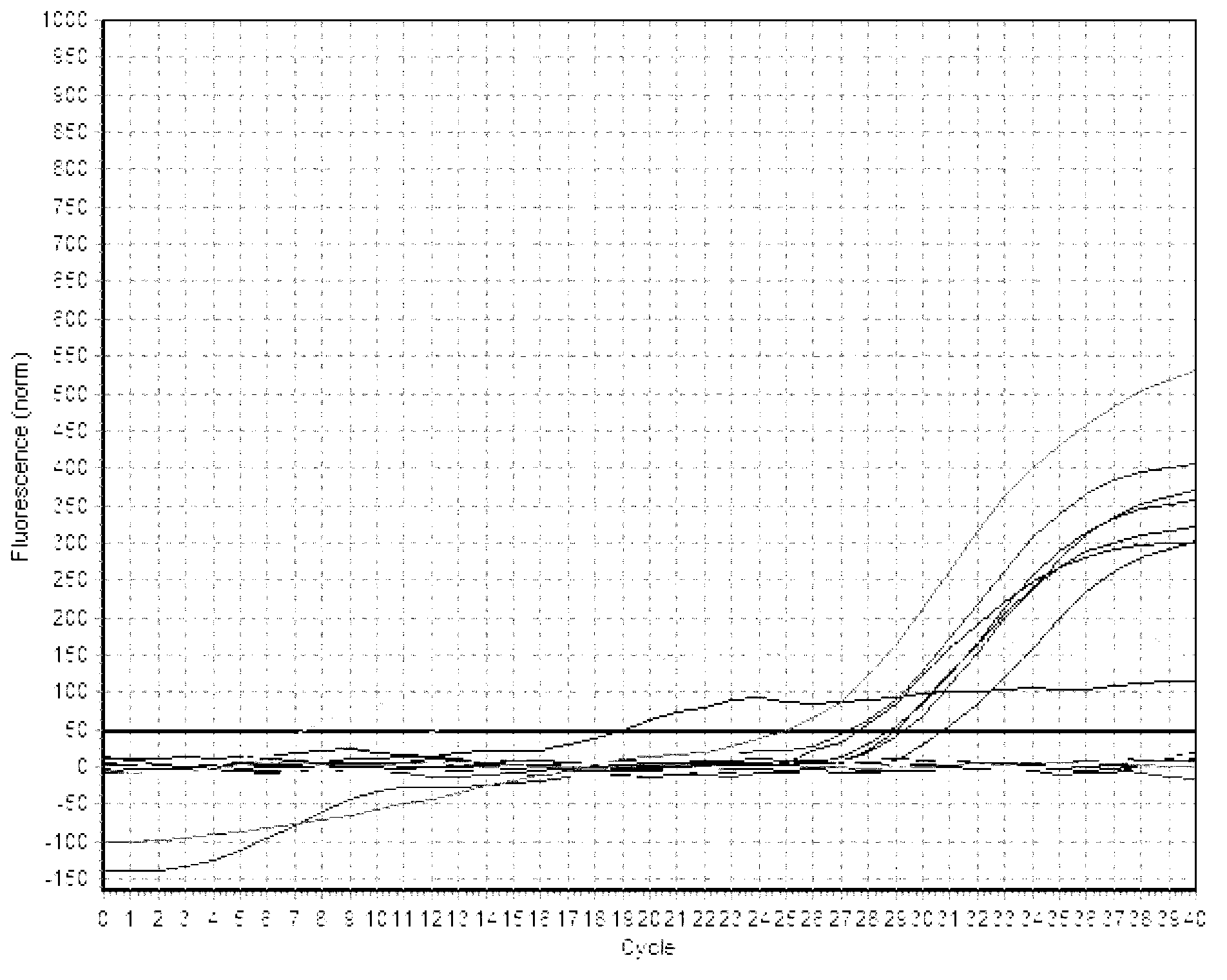 Bacillus cereus detection method and kit