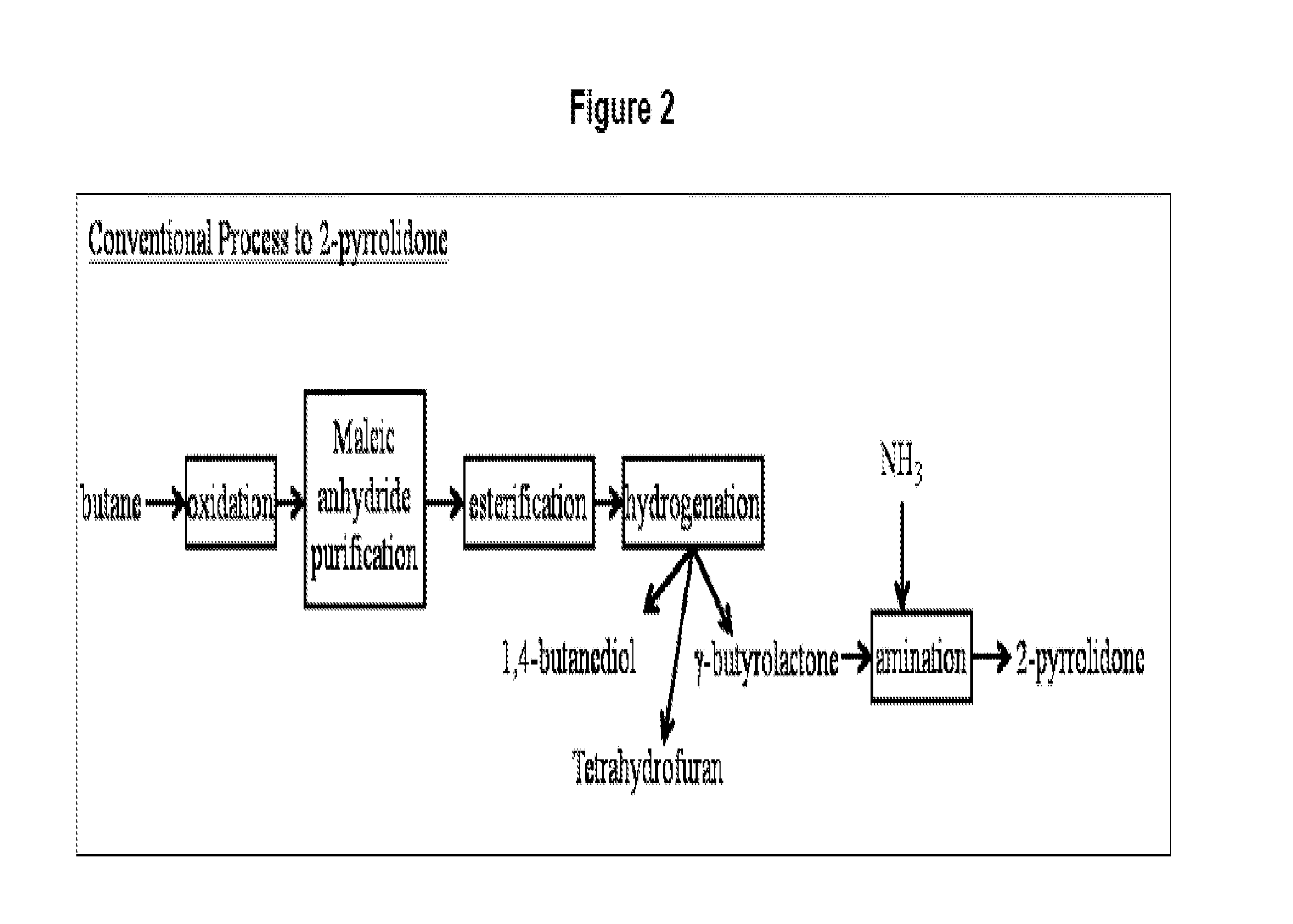 Method for conversion of diammonium succinate in fermentation broth to 2-pyrrolidone and n-methylpyrrolidone