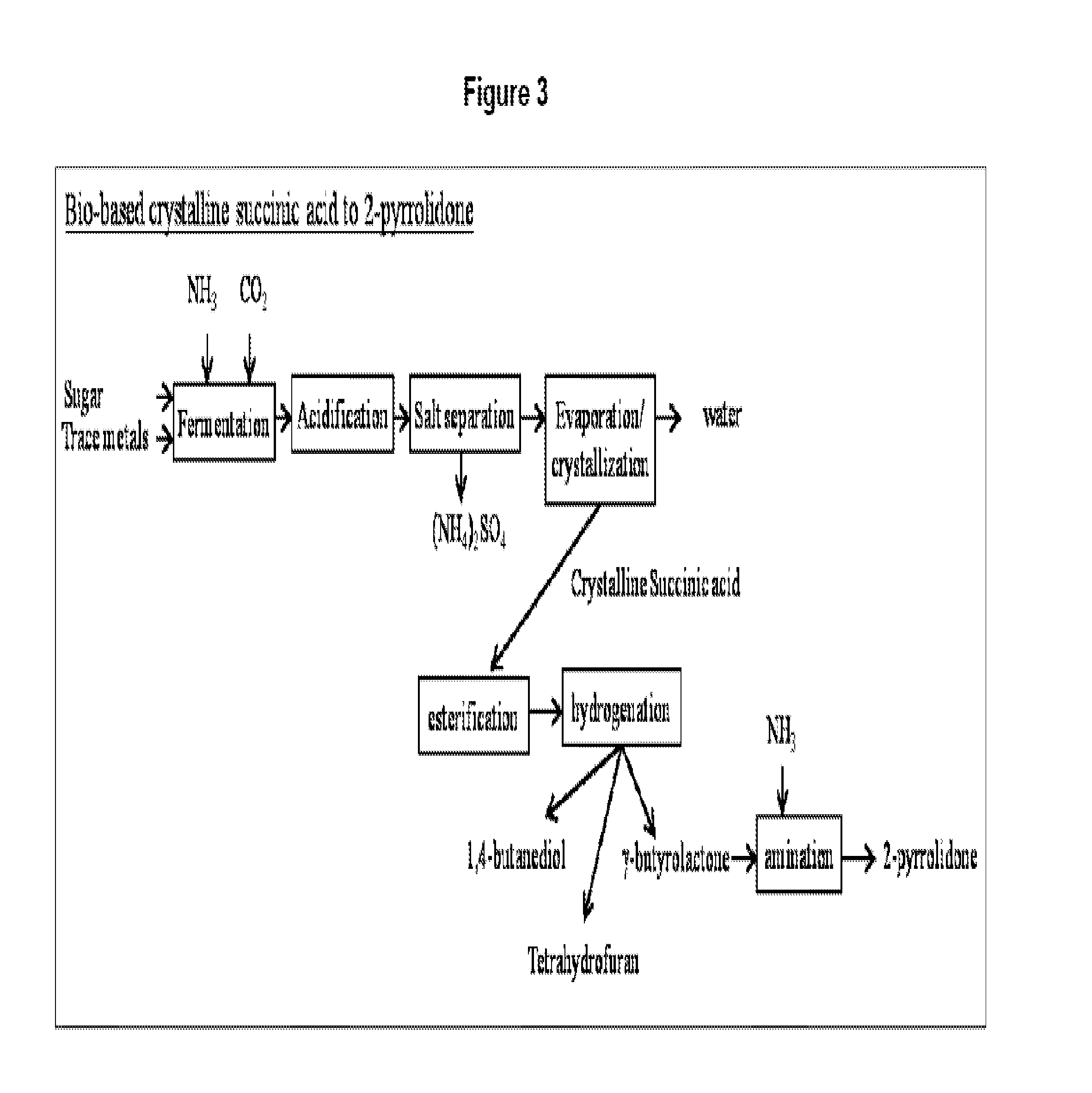 Method for conversion of diammonium succinate in fermentation broth to 2-pyrrolidone and n-methylpyrrolidone