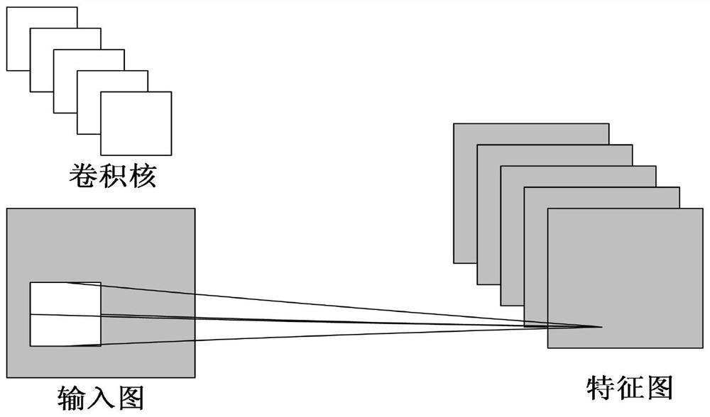 A kernel-cnn based ECG signal recognition and classification method