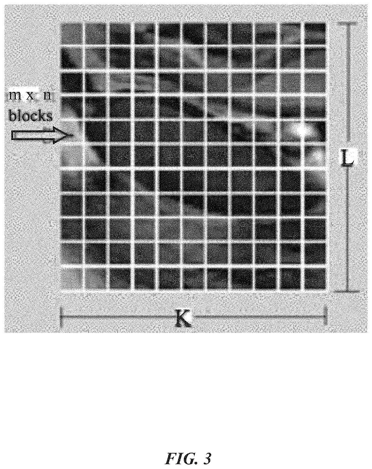 Image-based automated measurement model to predict pelvic organ prolapse