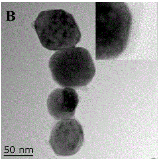 Measuring method of methyl mercury and ethyl mercury