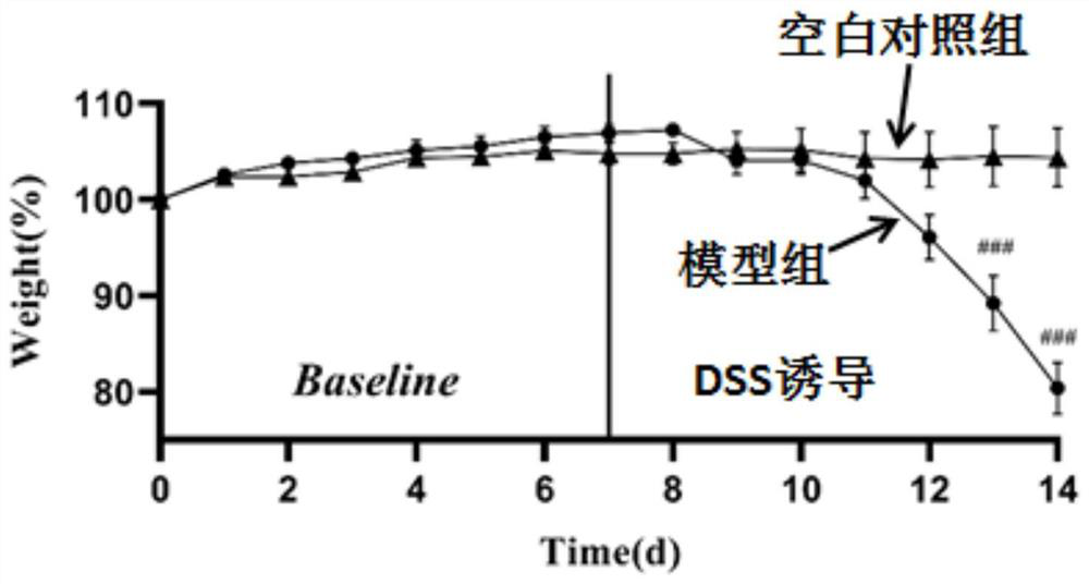 Polypeptide fragment C and application thereof