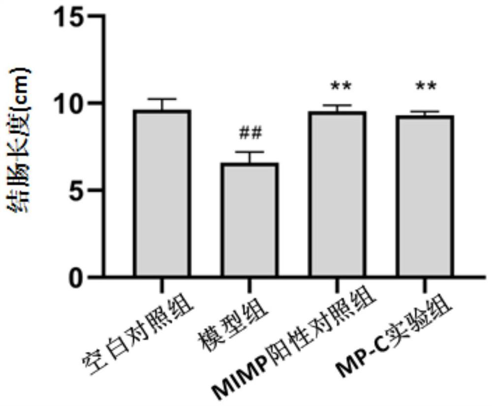 Polypeptide fragment C and application thereof