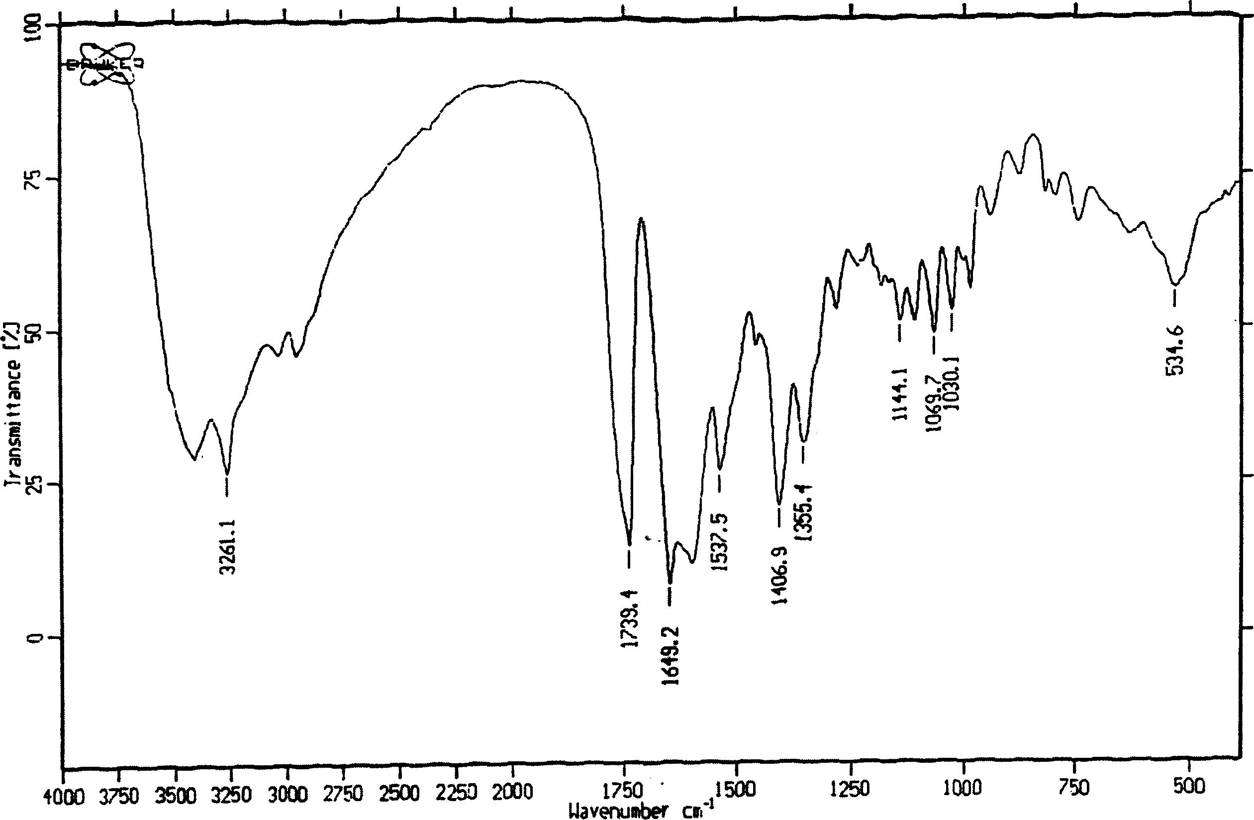 Microorganism strain and method for converting cephalosporin C into deacetylate cephalosporin C by using same